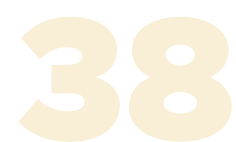 38