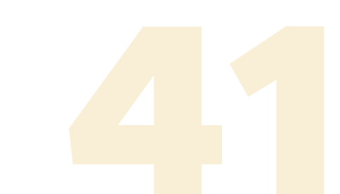 41