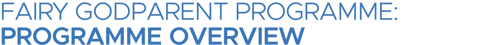 FAIRY GODPARENT PROGRAMME: PROGRAMME OVERVIEW